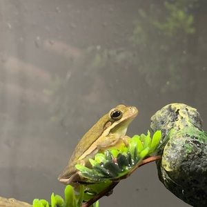 Meet your Posher, Abby